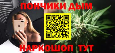 индика Кулебаки