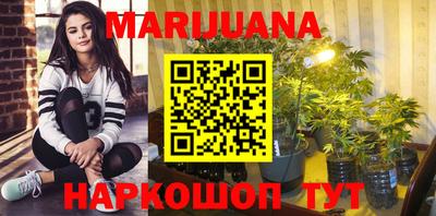 индика Кулебаки