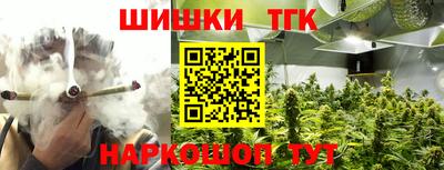 индика Кулебаки