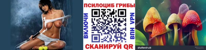 гидра   Ступино  Псилоцибиновые грибы мицелий  где можно купить наркотик 
