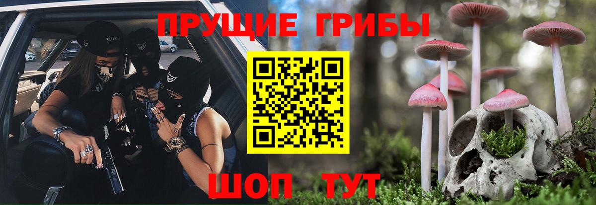 Псилоцибиновые грибы Psilocybe  Вход с VPN  Ступино 