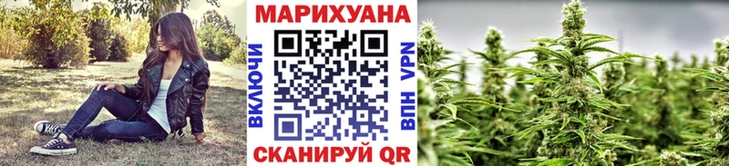 закладки  Ступино  Бошки марихуана планчик 